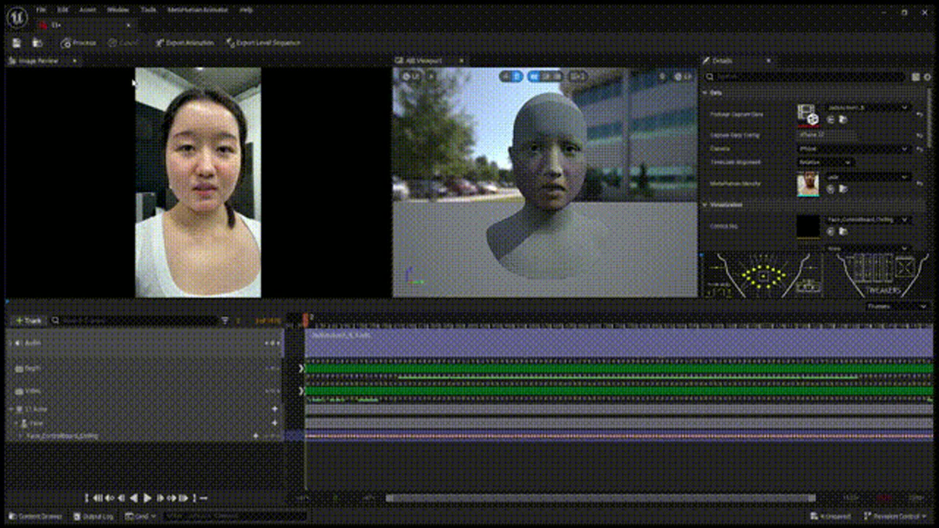 Facial motion